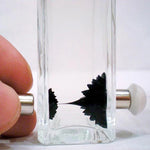 Magnetic Ferrofluid in a Bottle